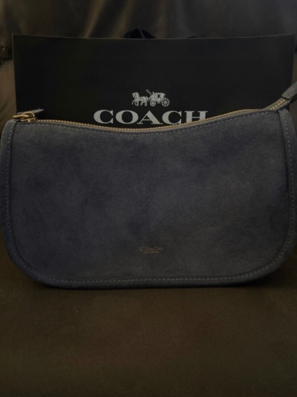 Coach Waverly Bag